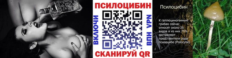 как найти закладки  Малаховка  Галлюциногенные грибы Psilocybe 
